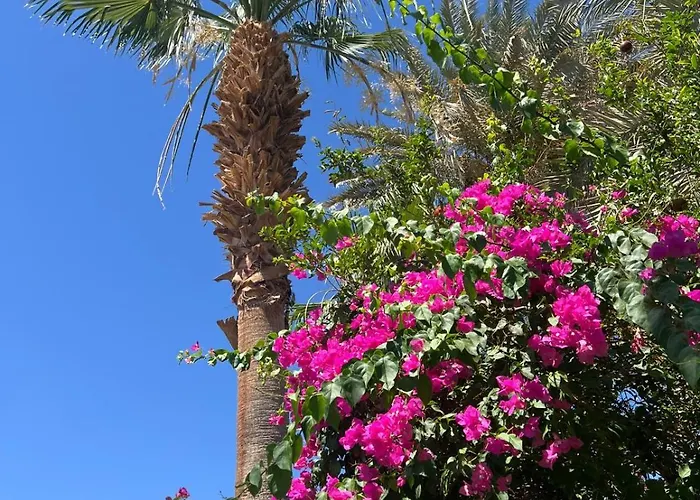 Alanih Apartamento