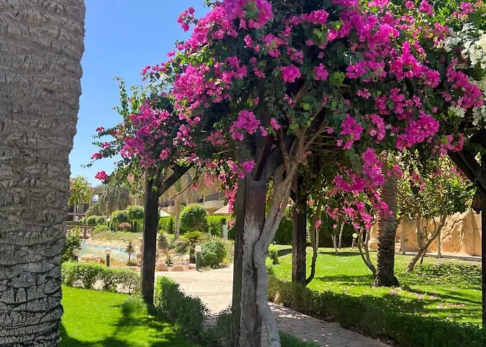 Alanih Apartman Sarm es-Sejk