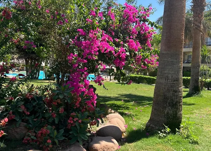 Alanih Apartman Sarm es-Sejk